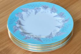 6er Set Vintage Brotteller Wedgwood Buxton 1960 - 69