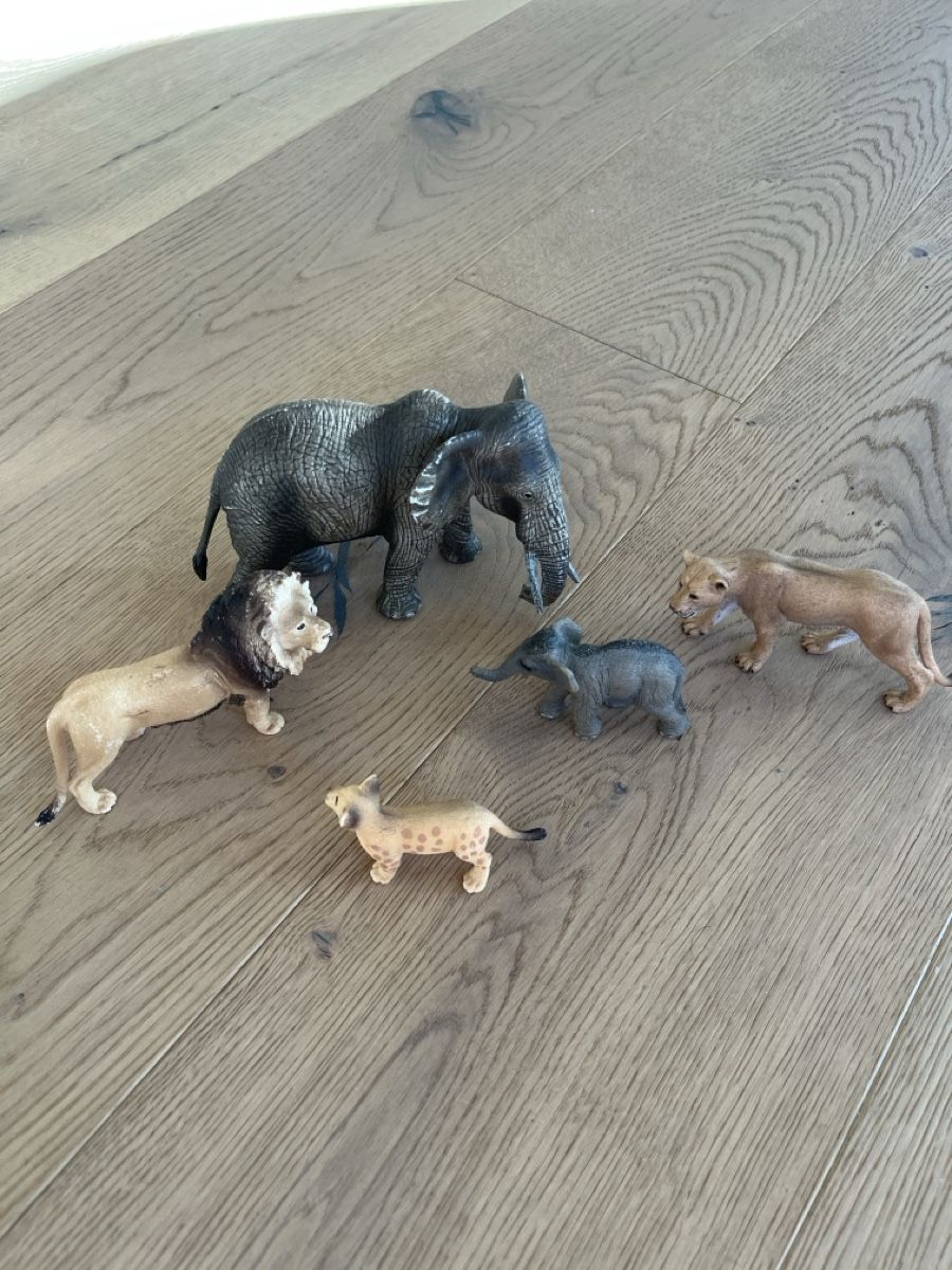 Schleich Giocattoli: Schleich Set Löwen- & Elefantenfamilie – Usato da Buttikon SZ venduto da nene2017 1