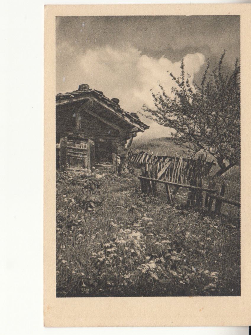 Cartoline postali: Bergidyll ca. 1930 – Usato da Bürglen TG venduto da StampGraf