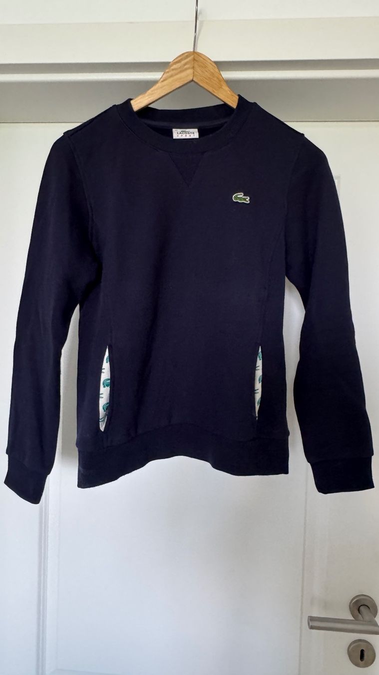Lacoste Maglioni & Felpe: Joli pull bleu marine Lacoste – Usato da giffers venduto da sev_c9x9