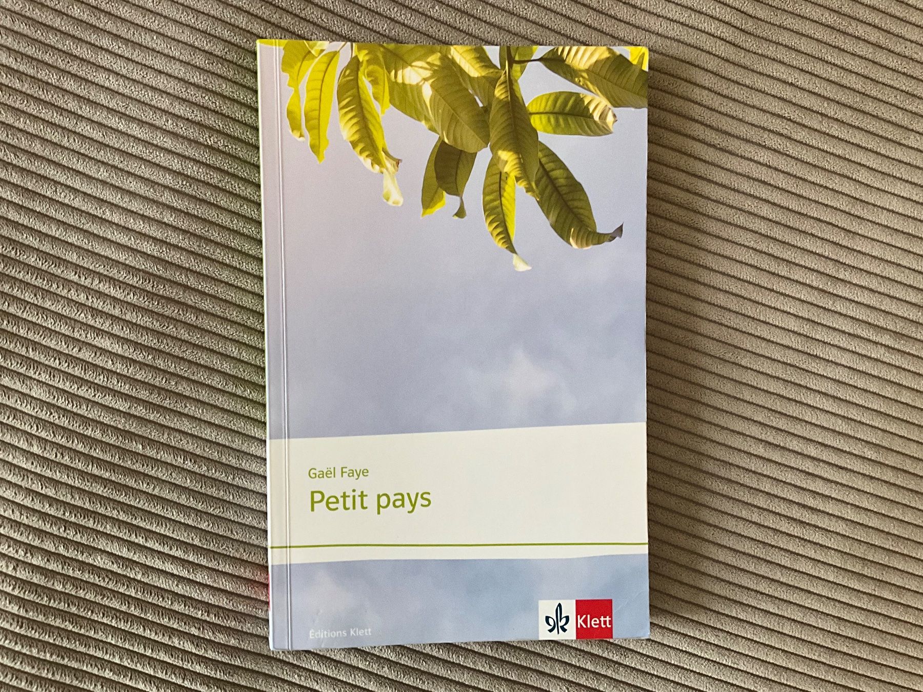 Libri: Petit pays (français) – Usato da Zürich venduto da lisa.alessia93