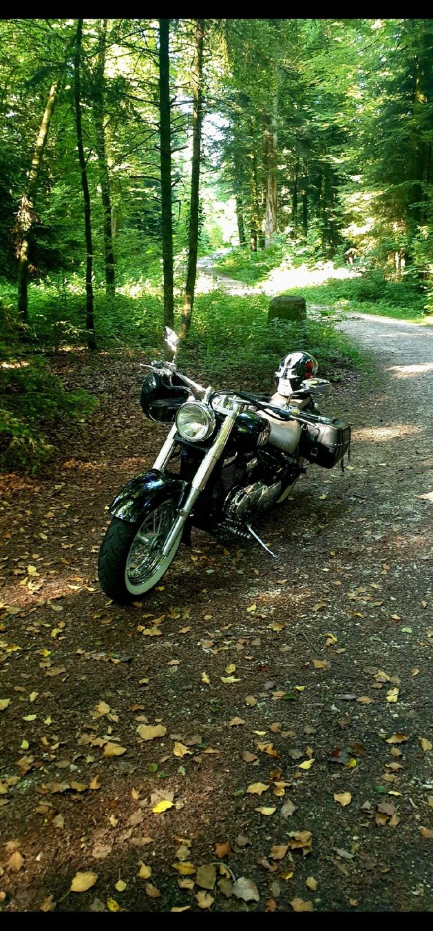 Suzuki Chopper: Suzuki VL800 INTRUDER – Usato da EGERKINGEN venduto da Eren3