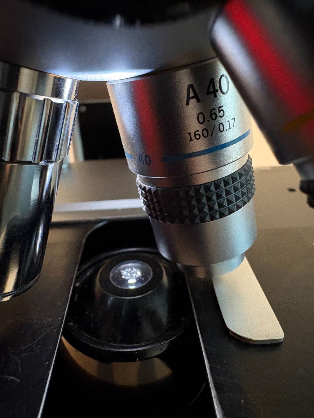 Olympus Microscopes: Mikroskop Olympus BH2 – D'occasion à Obfelden par boletus03 3