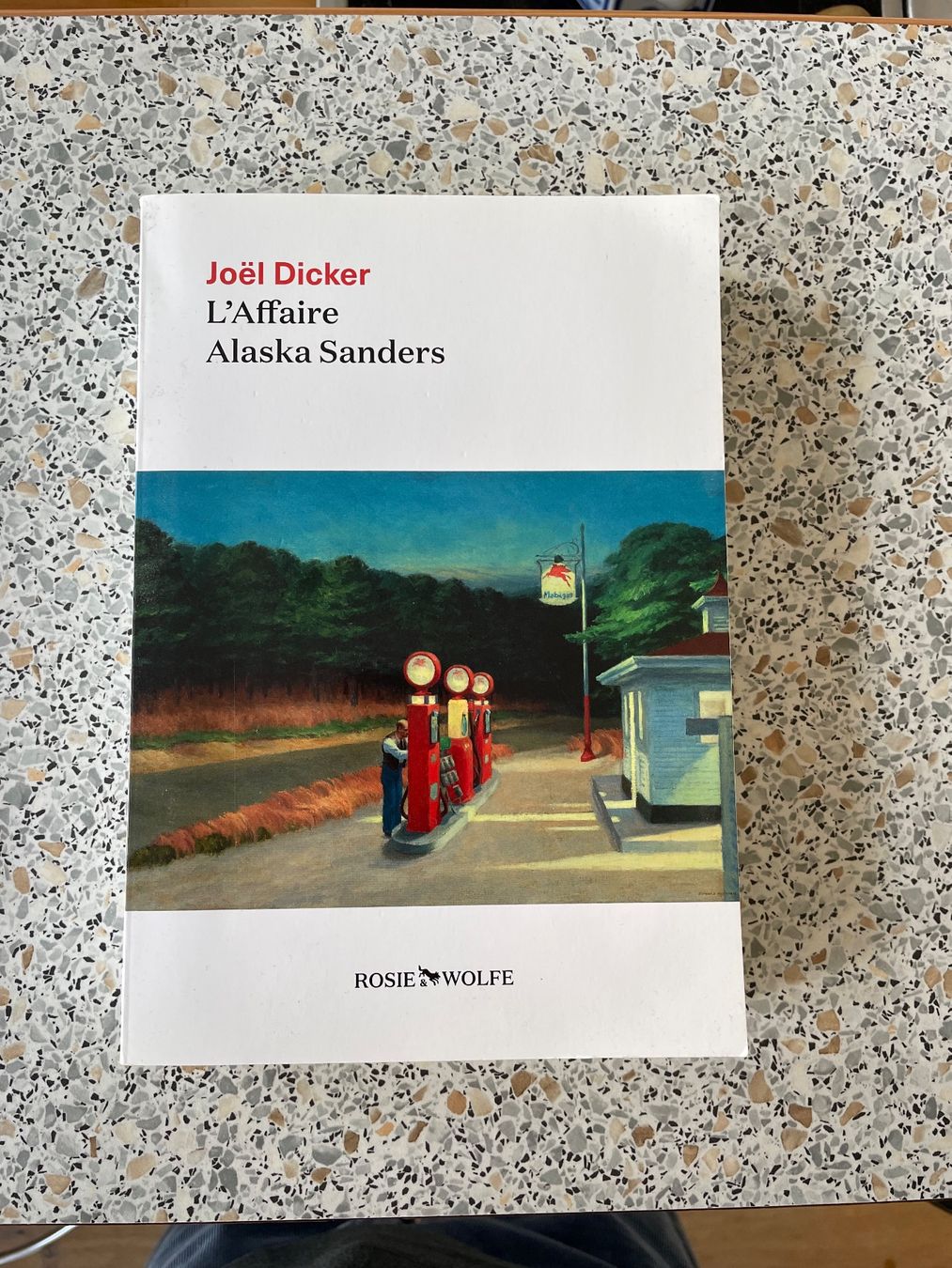 Libri: Joël Dicker - L'Affaire Alaska Sanders – Nuovo (secondo la descrizione) da Biel/Bienne venduto da linette78