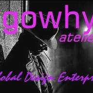 Profile image of gowhy
