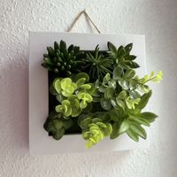 Tableau plantes plastique