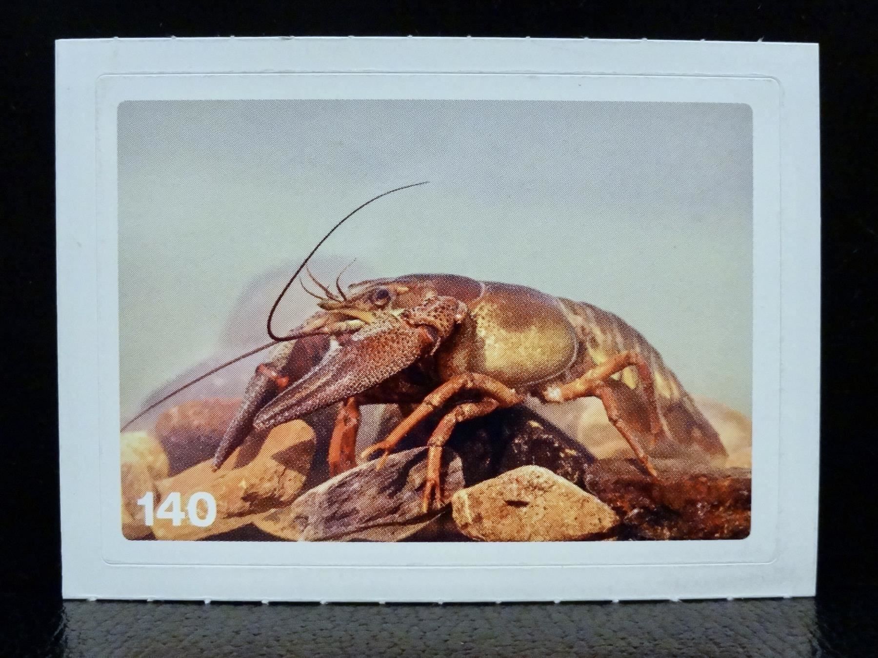 Migros Carte collezionabili: MIGROS MANIA Nature Detectives Nr. 140 – Nuovo e nell'imballaggio originale da Kerzers venduto da zimmergruen