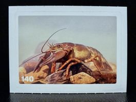 MIGROS MANIA Nature Detectives Nr. 140