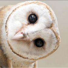 Profile image of Patita13