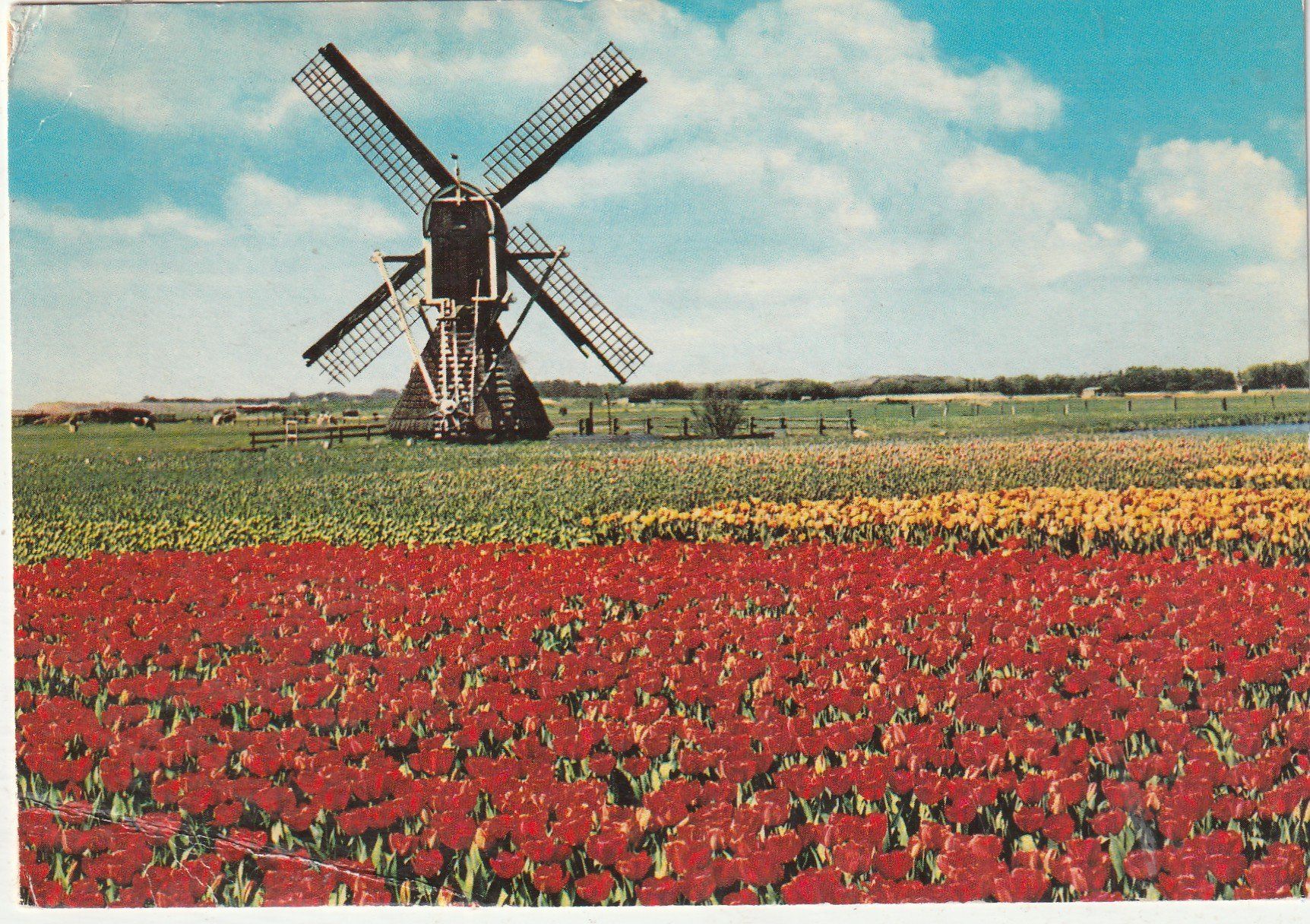 Ansichtskarten: Holland – Gebraucht aus Lumbrein von made02