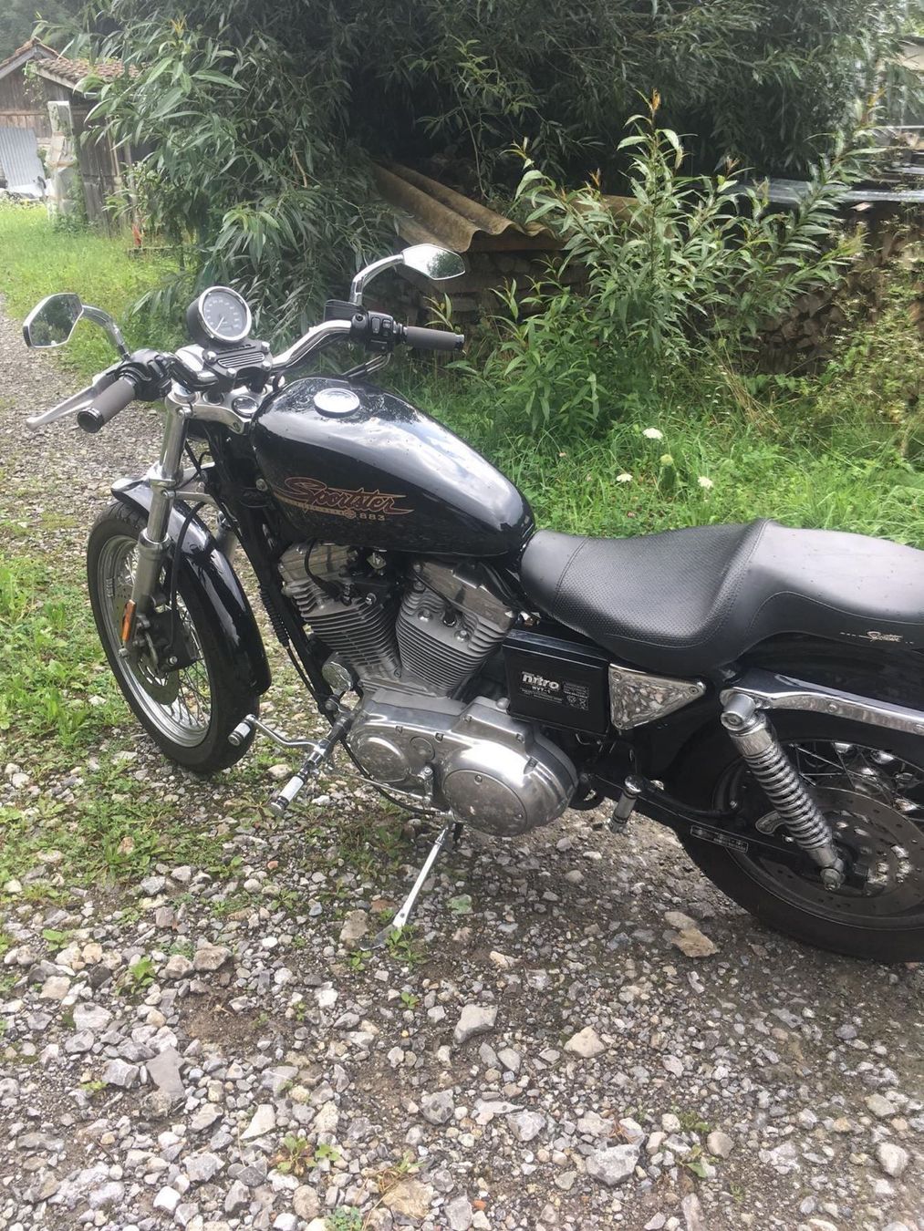 Strada: HARLEY-DAVIDSON XL 883 C53 Sportster Cus – Usato da Ringgenberg BE venduto da reber04 3