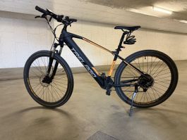 E-Mountainbike Trelago Furly 29“