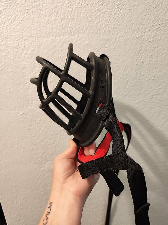 Altro per la casa: Basketville Maulkorb Size 6 – Usato da Niederhasli venduto da anny_94 3