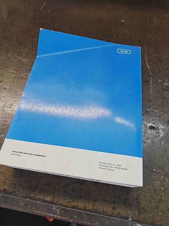 Libri: Werkstatthandbuch Hyundai Accent – Usato da Oberuzwil venduto da Daemel 1