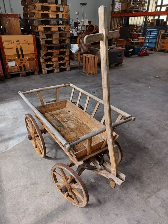 TOVINANNA Hasen-Kamm Aus Holz – Dekorativer Taschenkamm, Handlich, Für Damen & Kinder