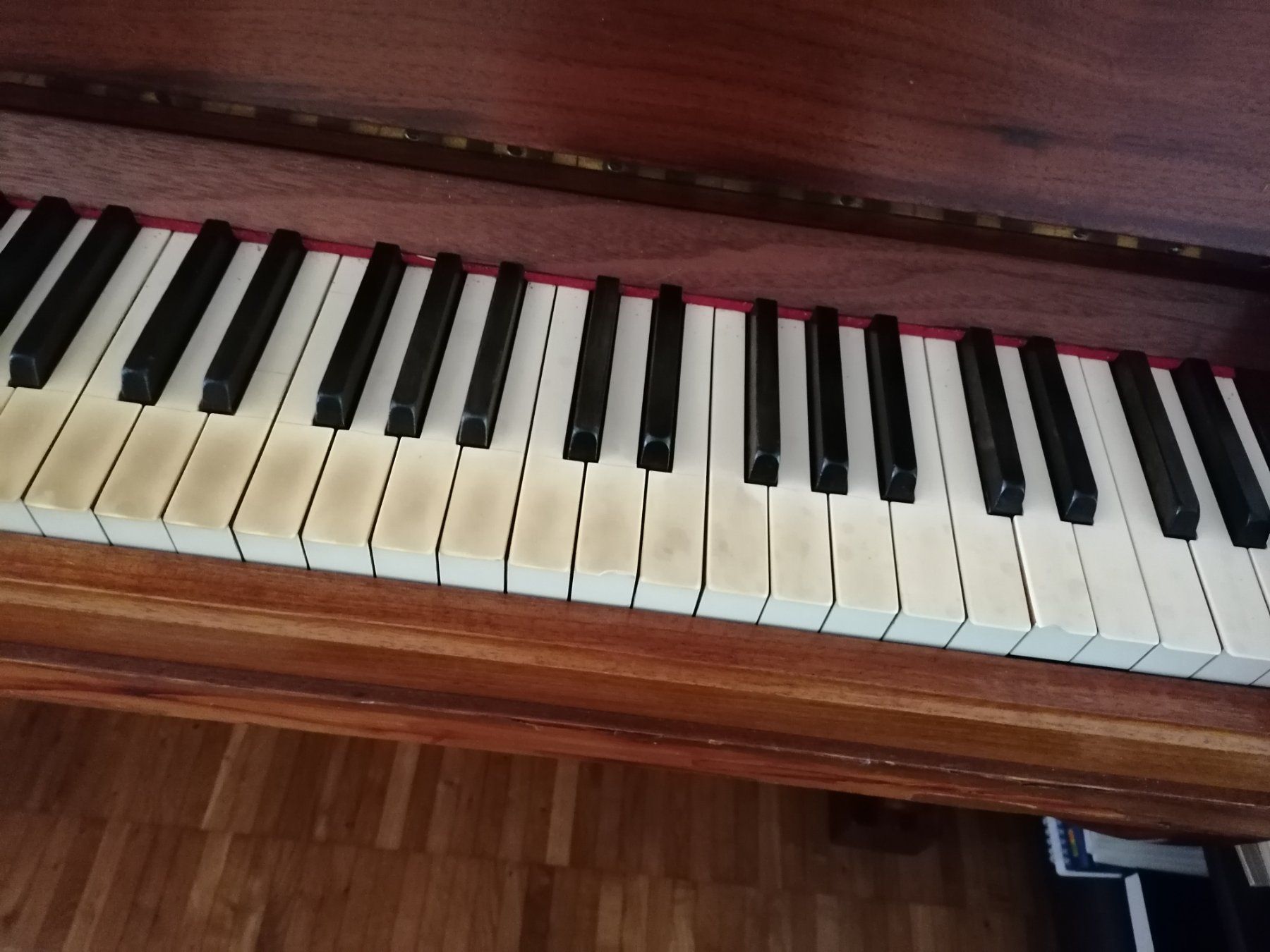 Musikinstrumente: Klavier zu verkaufen – Gebraucht aus Bassersdorf von Supernatura 3