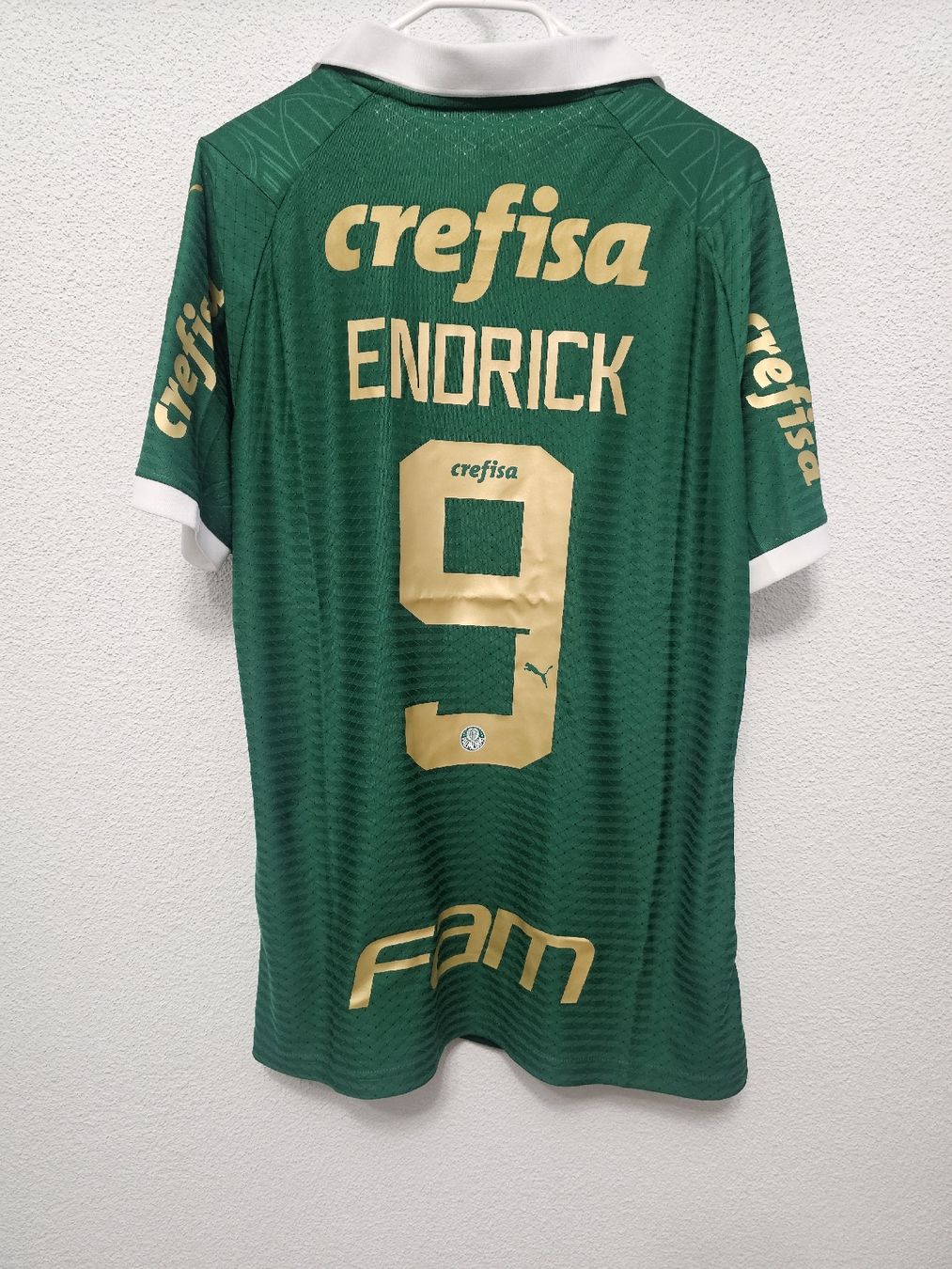 Canottiere & Pantaloni: Palmeiras Trikot 24/25 – Nuovo (secondo la descrizione) da Rickenbach LU venduto da LichterWelt 1