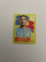 FIFA WM 2026 Charles Pickel COD 8
