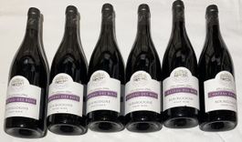 (19) Lot de 6 bouteilles Bourgogne Pinot Noir