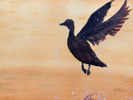 Aquarellbild: einer Ente am See 180*240mm.