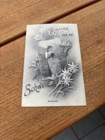 AK Gruss aus der Schweiz. 1907