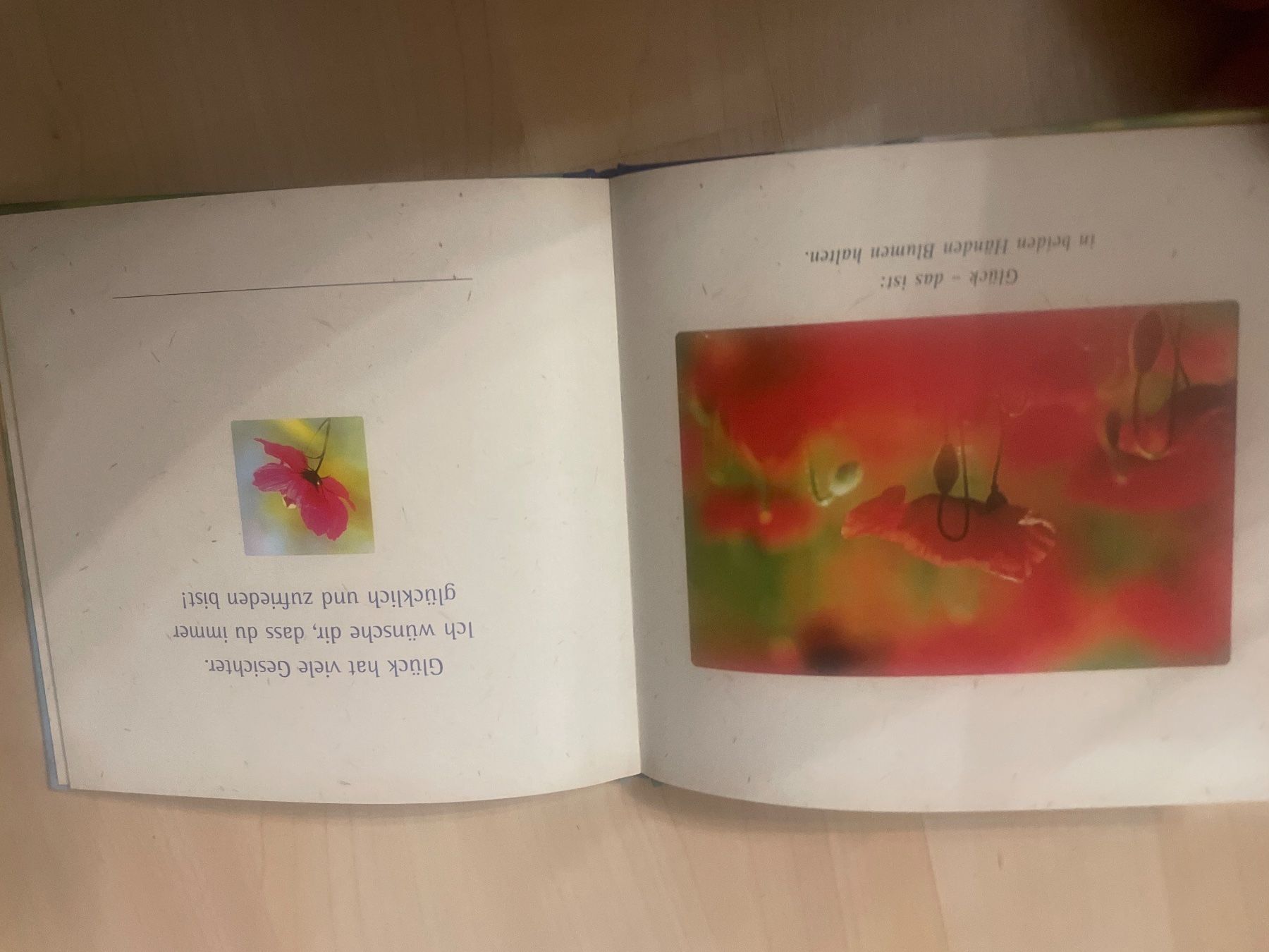 Libri: Tausenderlei Glück Buch – Usato da Schaffhausen venduto da Kolibri023 1