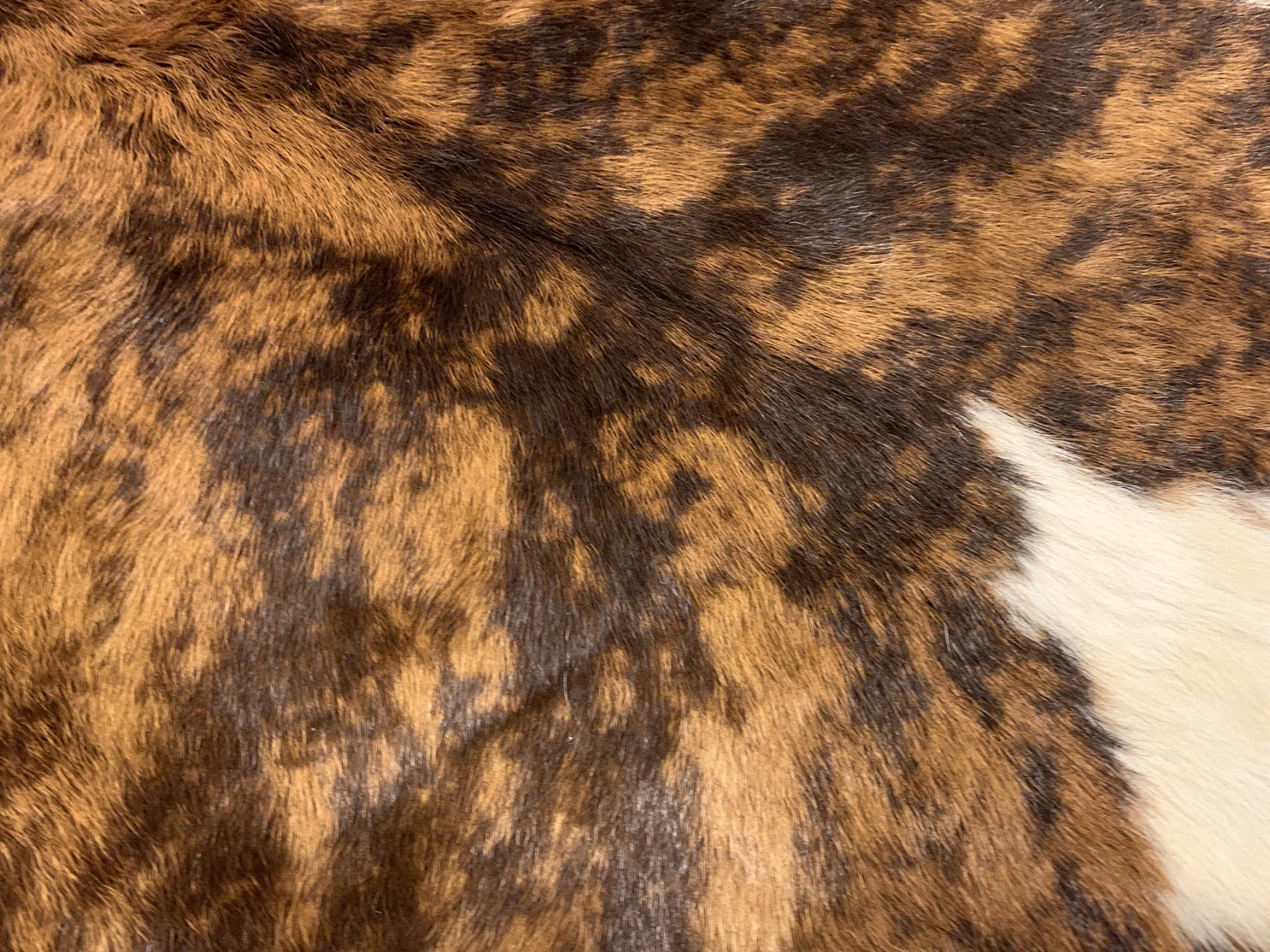 Tappeti: echtes Kalbfell Tricolor – Nuovo e nell'imballaggio originale da Arbedo venduto da patagonialeatherrugs 1