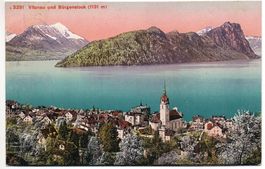 VITZNAU und Bürgenstock