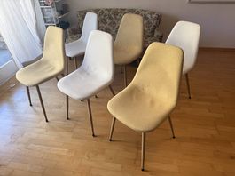 6 Esszimmerstühle Rossi zu verkaufen