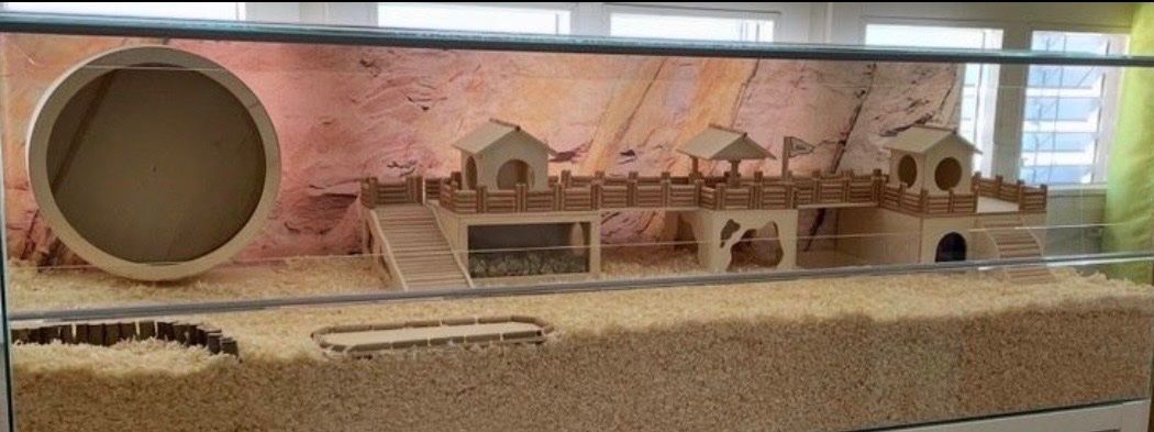 Gabbie, trasporto & Sicurezza: Hamster Einrichtung – Usato da Büron venduto da Manu864 2