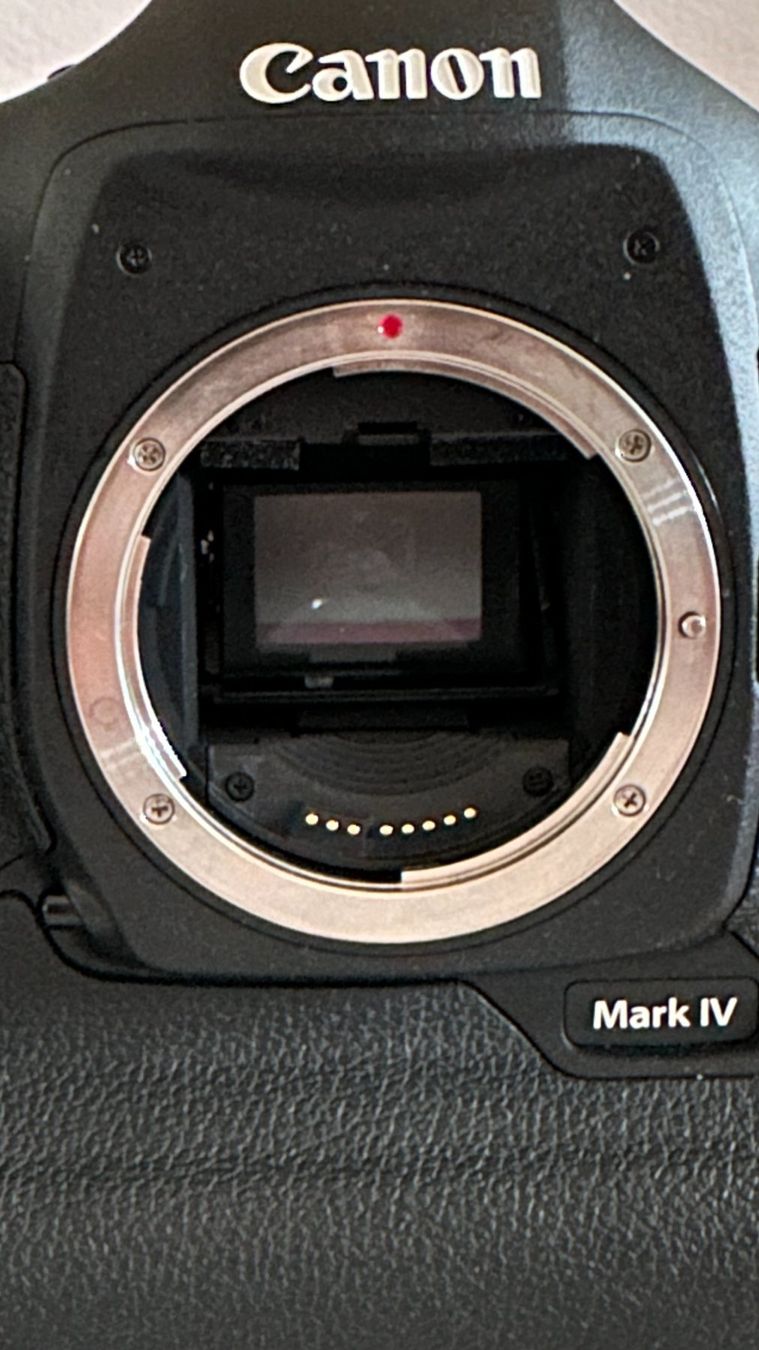 Canon Kamera: Canon EOS 1D Mark 4 -Top Zustand – Gebraucht aus Herzogenbuchsee von Discussoft 2