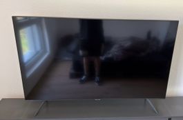 Fernseher