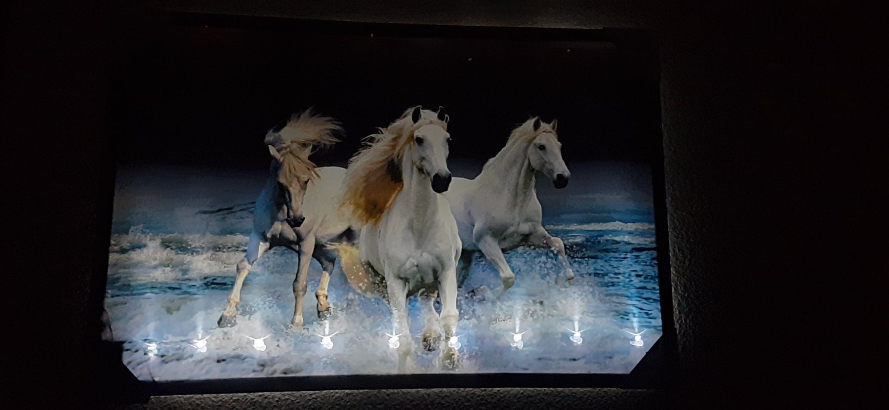 Poster & Bilder: LED Art The with horses Kunstbild gross – Neu und originalverpackt aus Kilchberg ZH von ruedi34 2