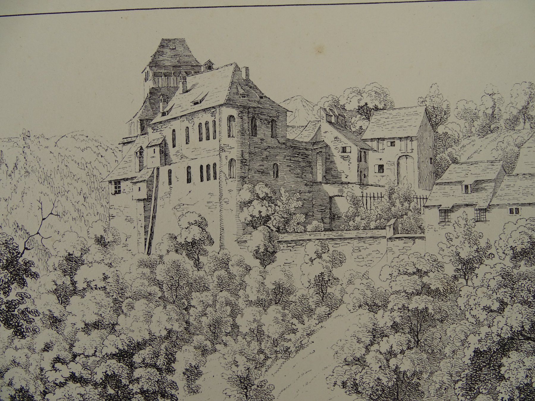 Incisioni: WILDENSTEIN, BASEL, FEDERLITHOGRAPHIE 1840 – Usato da Grüningen venduto da Kartensammler 8