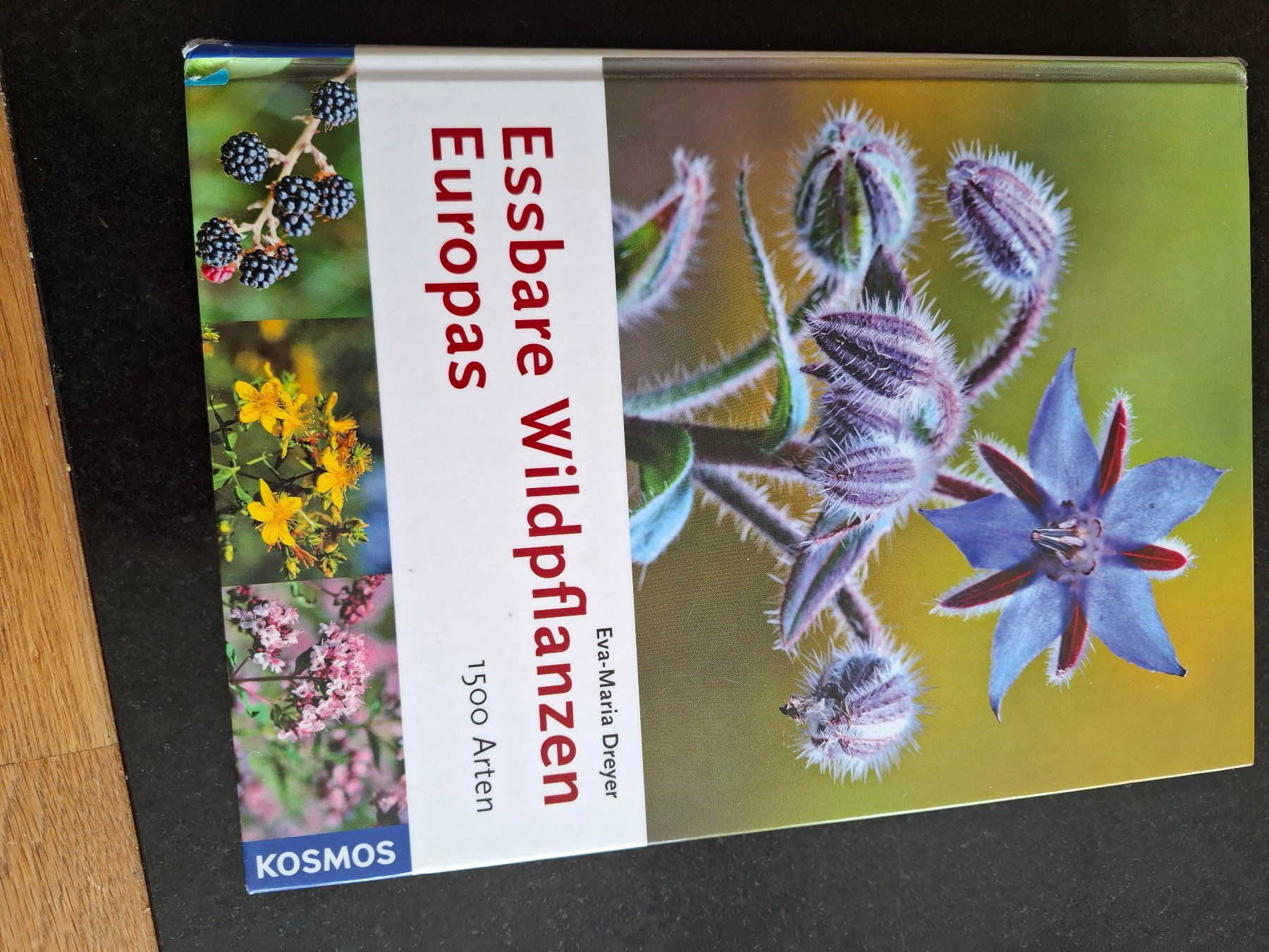 Libri: Essbare Wildpflanzen Europas – Usato da Alosen venduto da Berggipfel