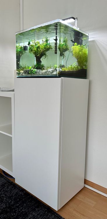 ferm living - tablett fr plant box Plant Box by Ferm Living  haus
