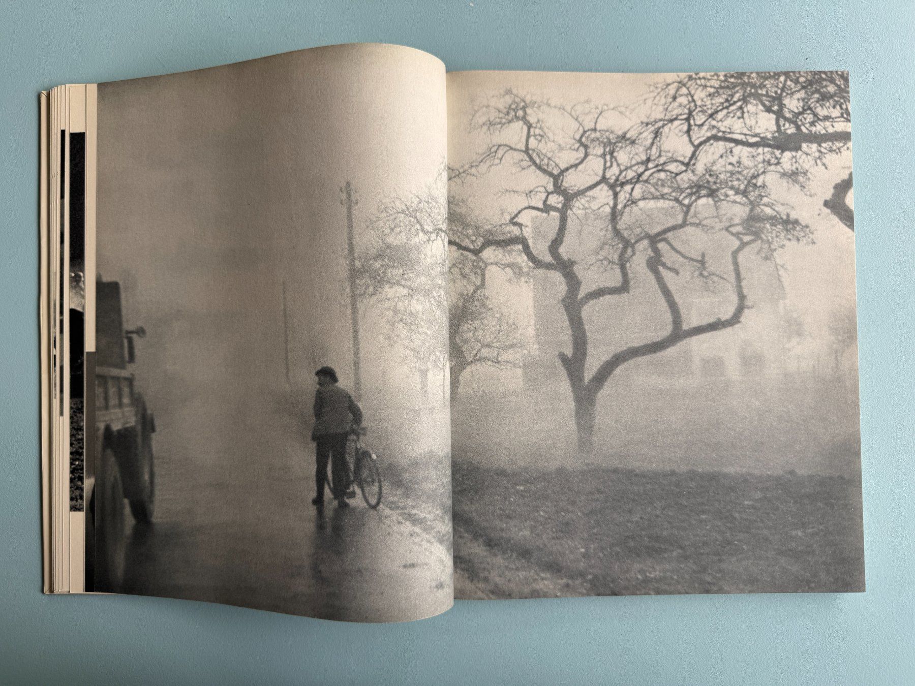 Bücher: Gotthard  SCHUH  - Begegnungen – Gebraucht aus Basel von Kornblumen 5