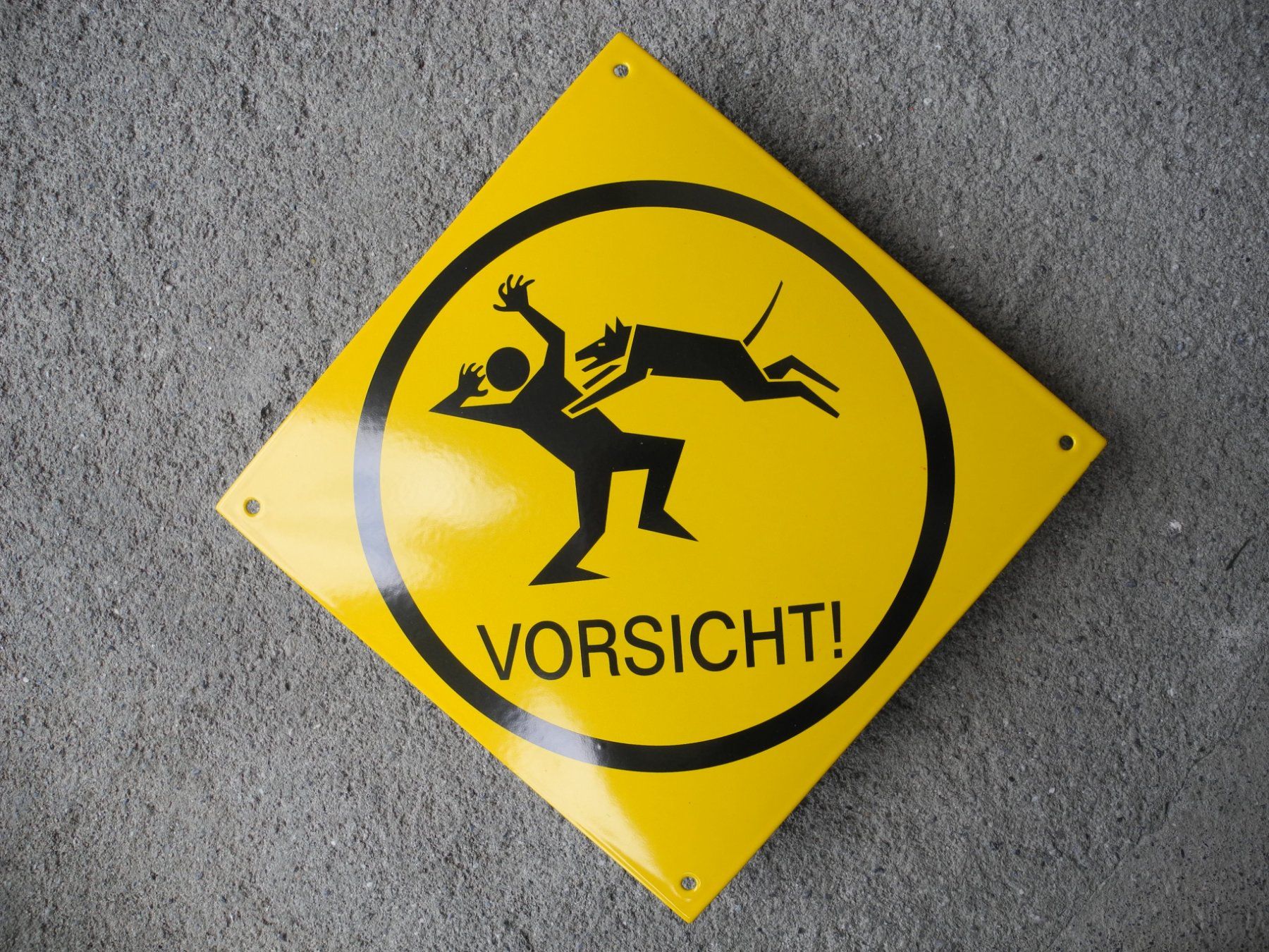 Insegne: VORSICHT HUND EMAILSCHILD – Nuovo (secondo la descrizione) da Reinach AG venduto da Huckleberrysix 2