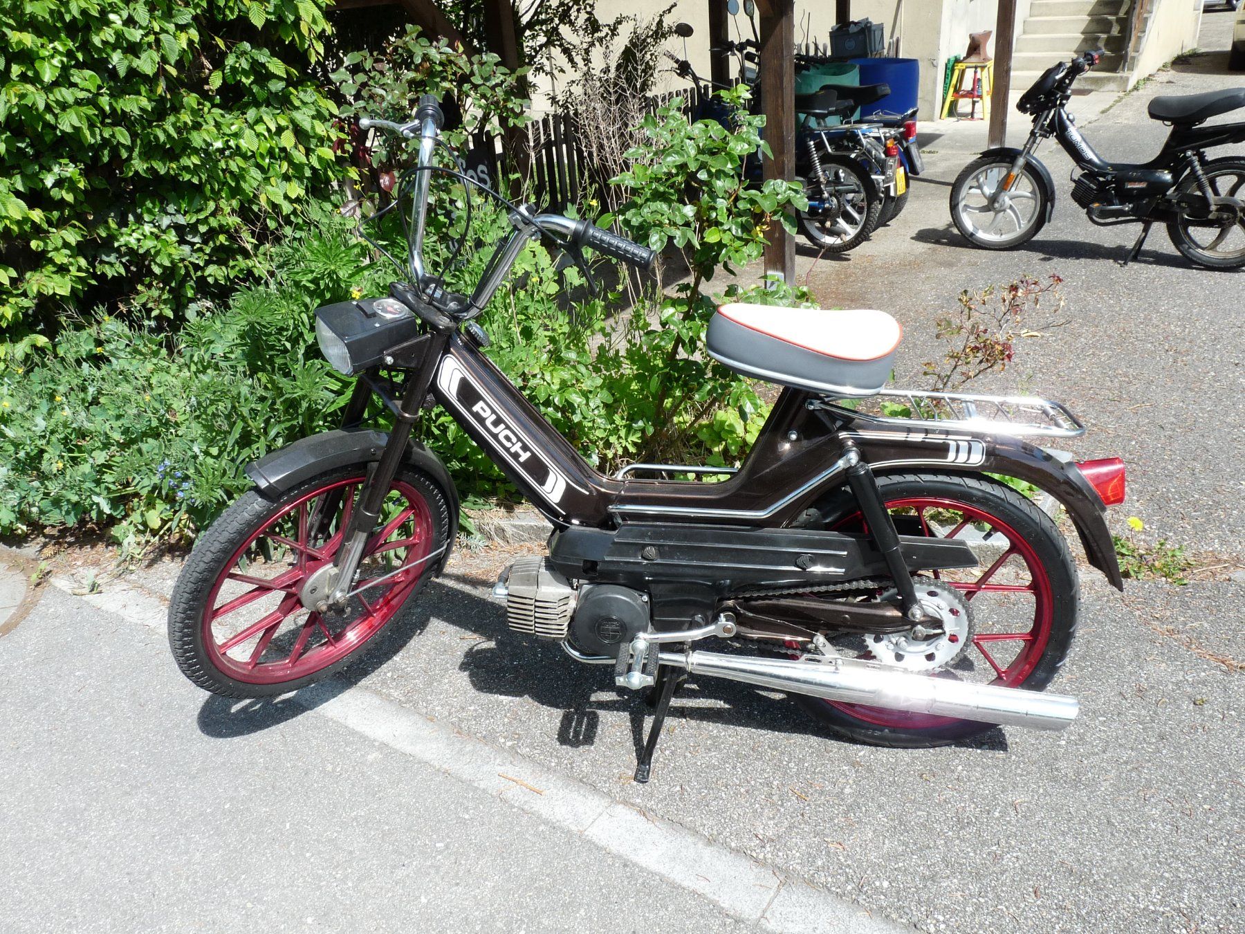 Puch Cyclomoteurs: Puch Maxi S top – Neuf (Voir description) à huttwil par Pakora