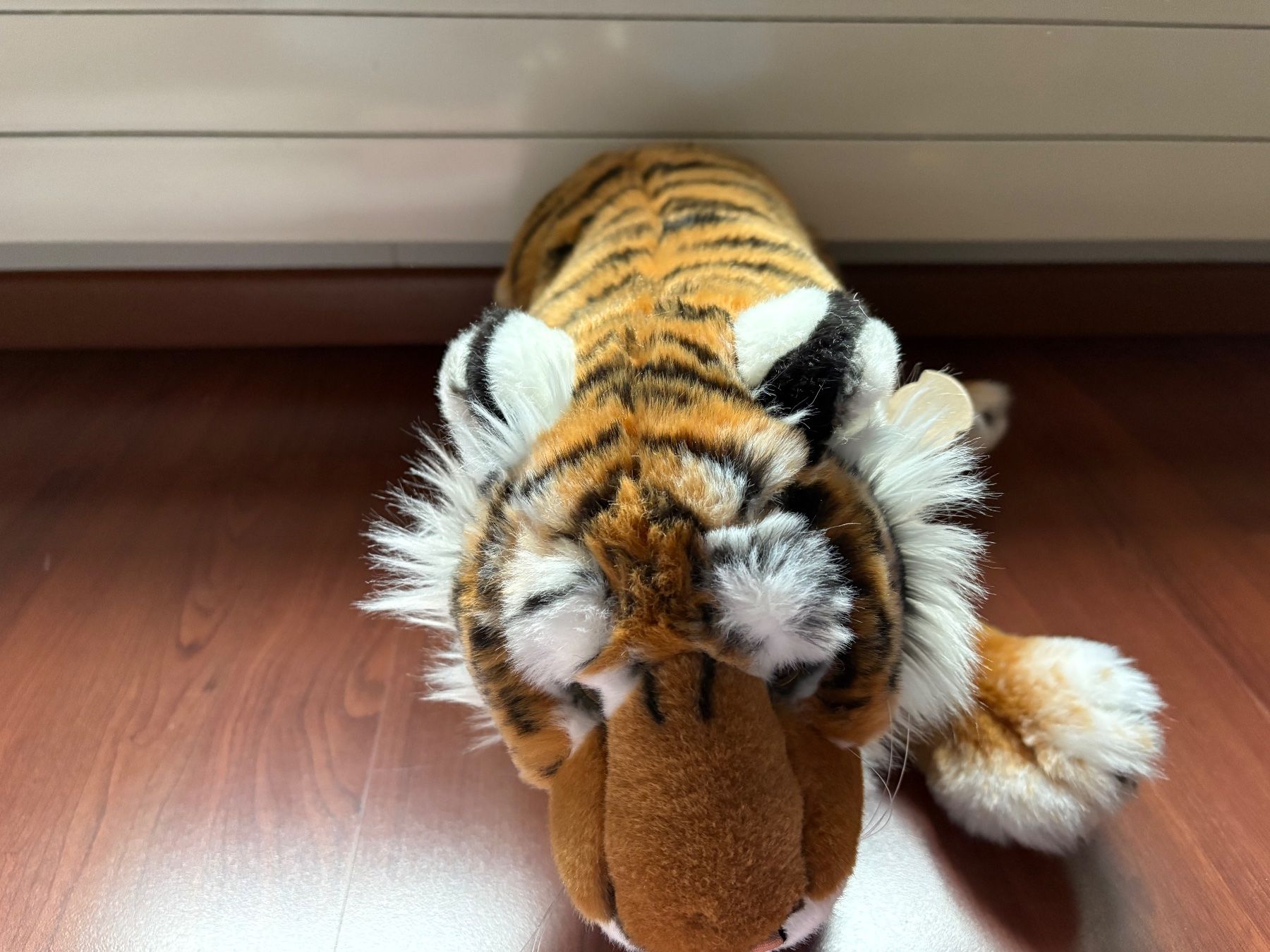 Giocattoli: Tiger Plüschtier – Nuovo (secondo la descrizione) da Mollis venduto da skyline015