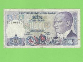 Türkische Lira 1000 - Seltene Banknote aus der Türkei!