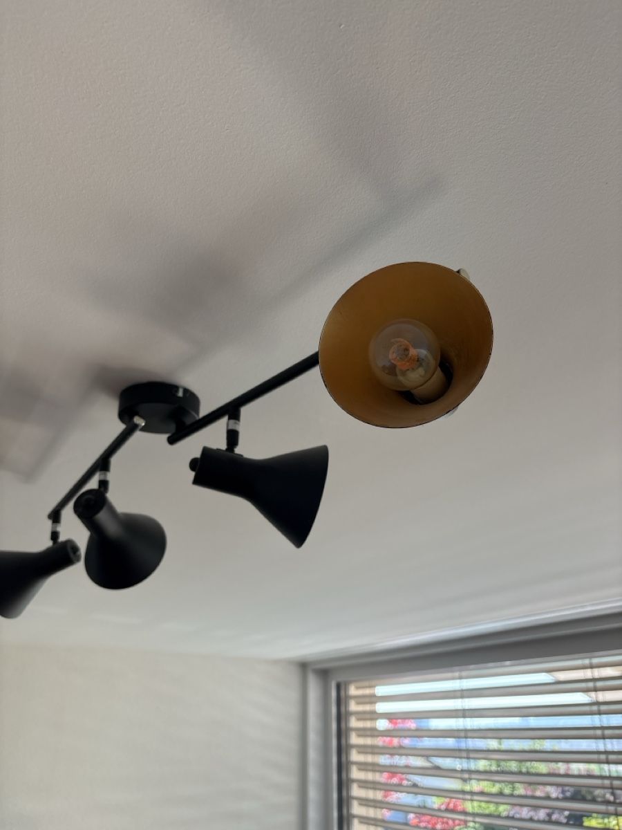 Lampadari & plafoniere: Deckenleuchte 4-flammig schwarz/gold – Usato da Oberengstringen venduto da tal_t5f9 2