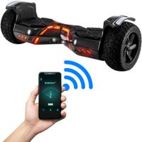 Robway X2 Hoverboard 8.5 Zoll 700W