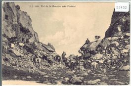 Col de la Gueulaz pres Finhaut - chevres Ziegen