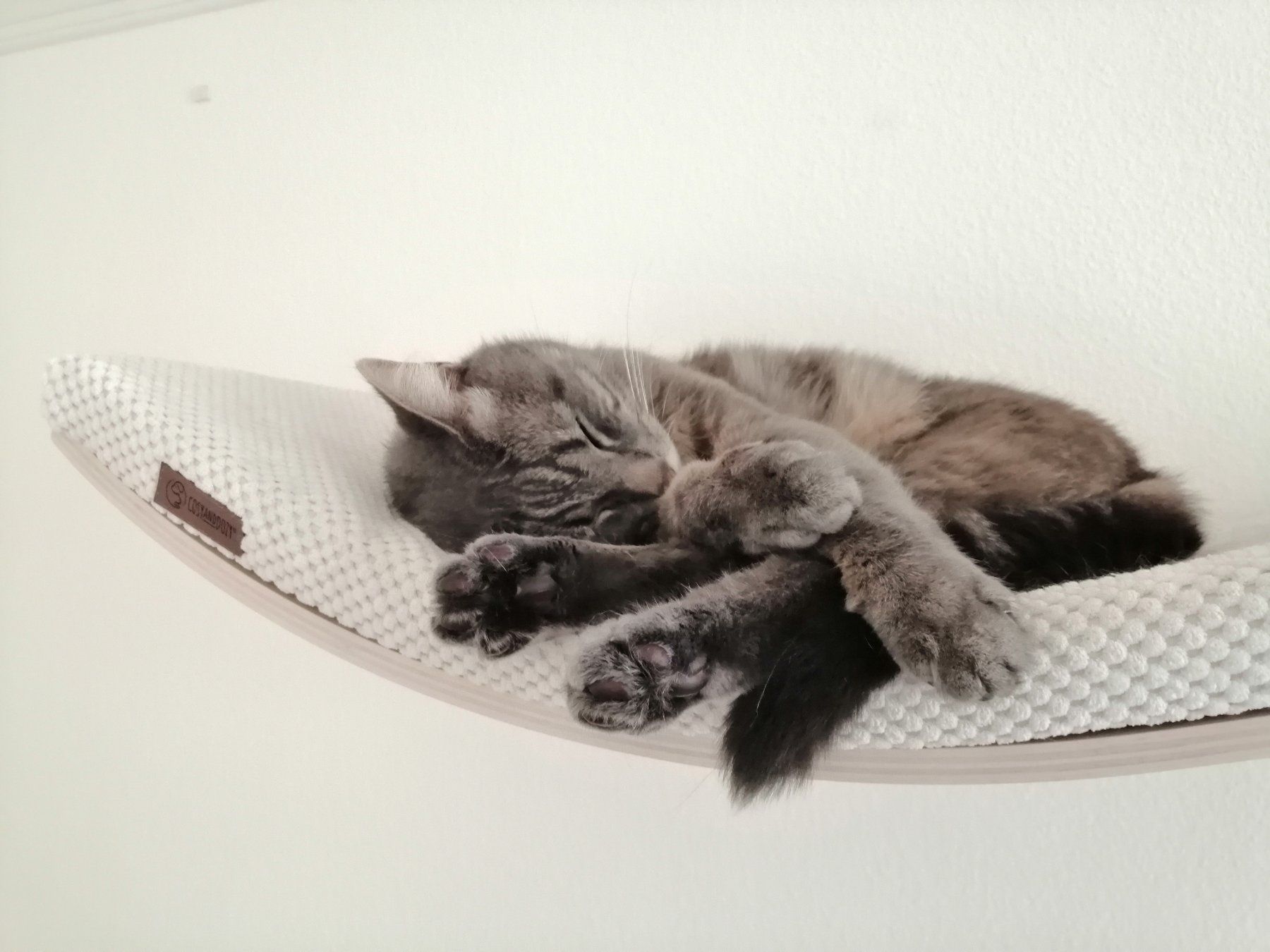 Cucce & Letti: Lit pour chat - Etagère Design – Nuovo e nell'imballaggio originale da St-Barthélemy VD venduto da mardi88 1