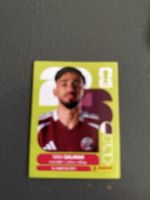 Panini WM 2026 QAT 8
