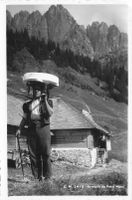 Armailli du petit mont