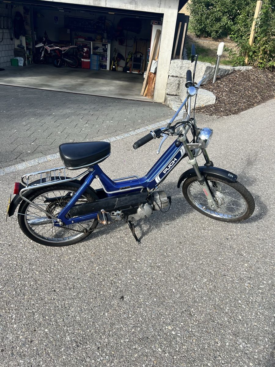 Puch Mofas: Puch Maxi N – Gebraucht aus Cordast von mat_z2m9 1