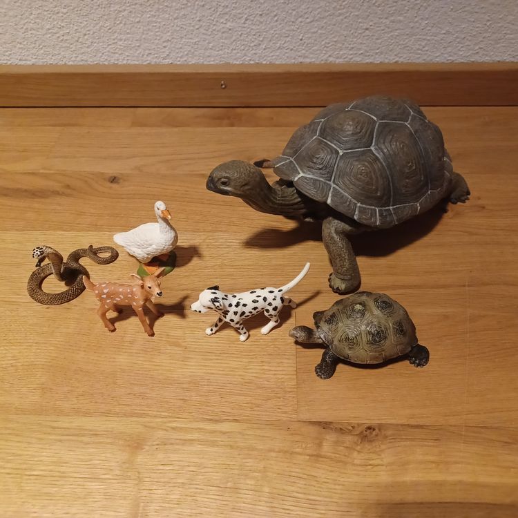  Kaufen auf Ricardo Motiv 