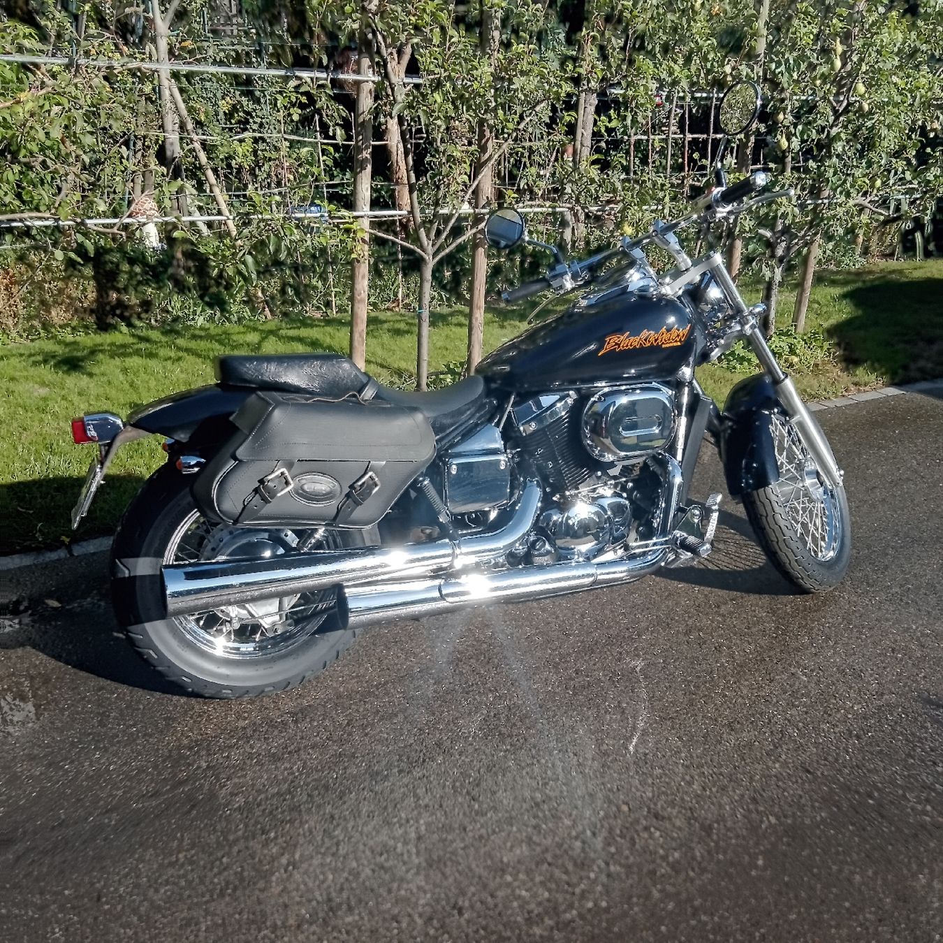 Honda Chopper: HONDA VT 750 DC , Black Widow – Usato da Frauenfeld venduto da Mataka 1